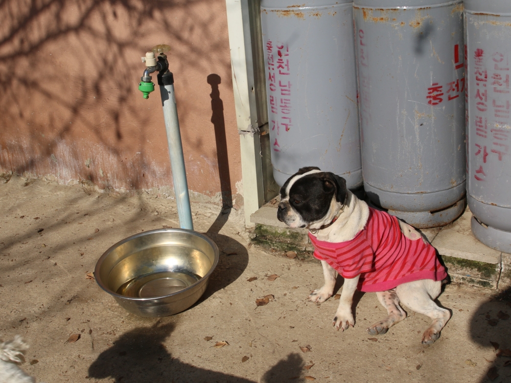 새로 추가_8017.JPG