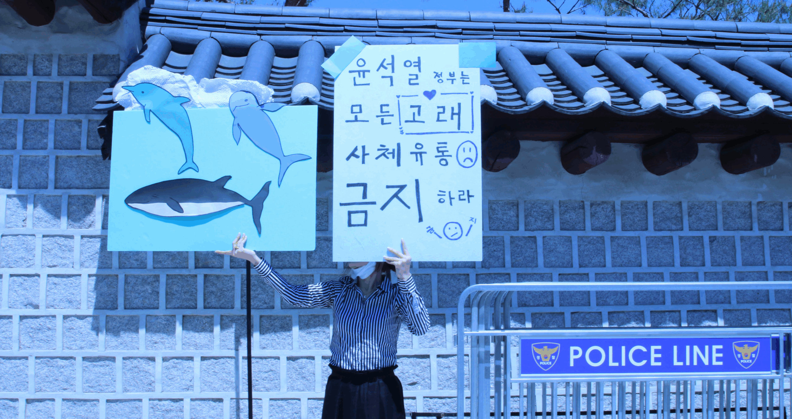 사진 설명 시작. 경복궁역 앞에서 고래 사체 유통 금지 1인 시위가 열리고 있다. 시위자가 고래 그림이 그려진 피켓과 윤석열 정부는 모든 고래 사체 유통 금지하라라는 문구가 적힌 피켓을 들고 있다. 사진 설명 끝.