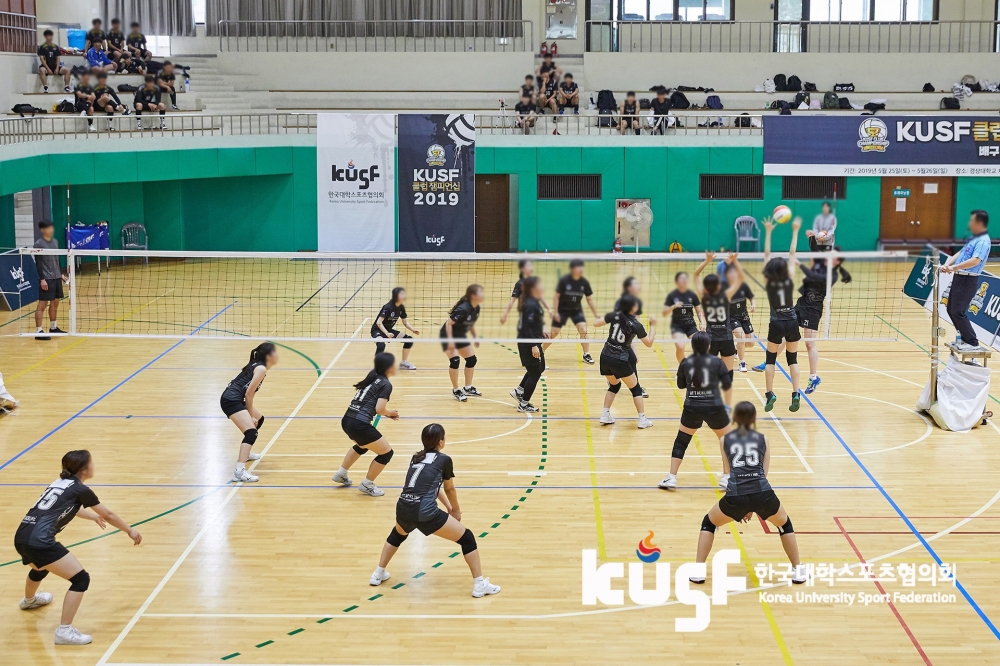 사진 설명 시작. 하나 씨가 배구대회에 출전했을 당시의 모습. 강당에서 팀원들과 함께 경기를 뛰고 있다. 사진 설명 끝