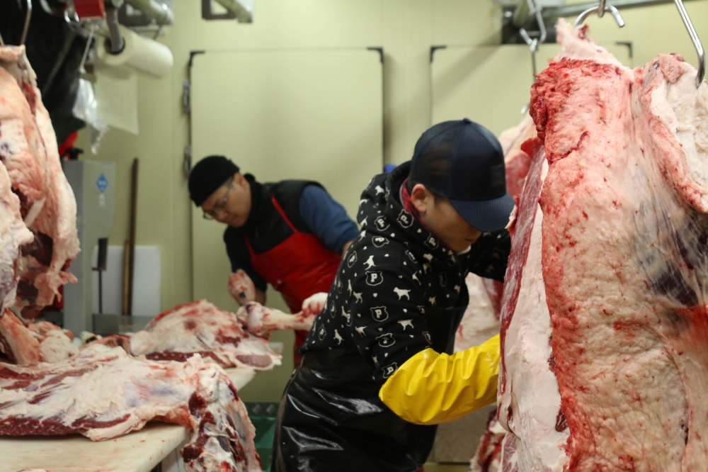 두 사람이 소를 발골 중이다.jpg