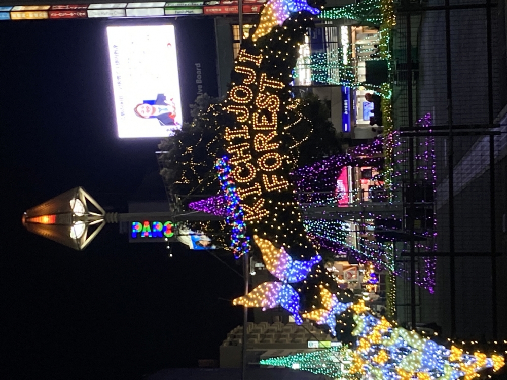 사진 설명 시작. 각양각색의 전구가 거리를 환하게 장식하고 있다. 사진 설명 끝.