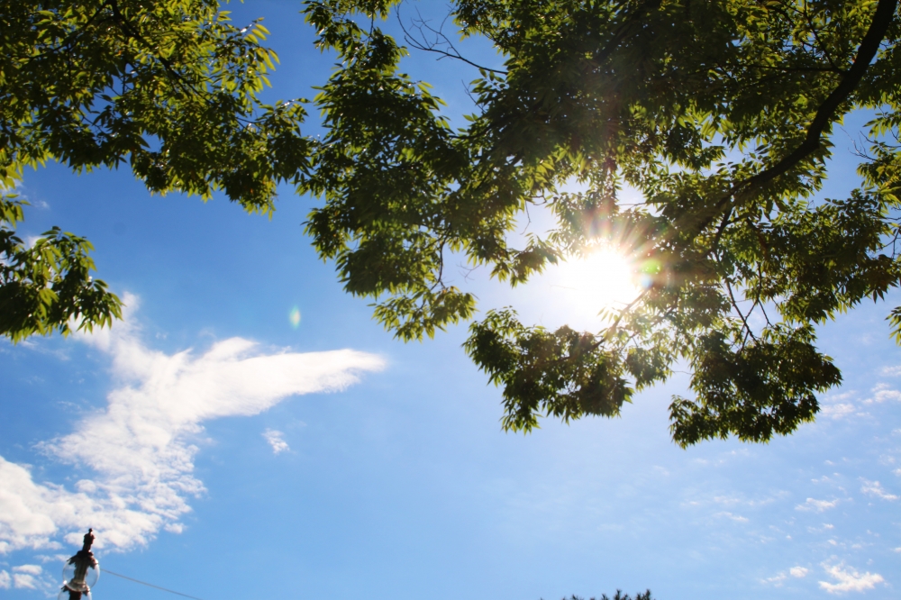 타이틀 이다.jpg