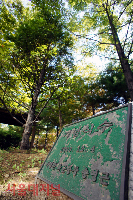 서빙고분실 (2).JPG