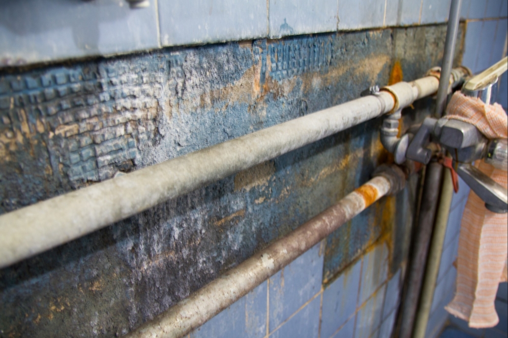 4 파워플랜트 샤워실-2.jpg