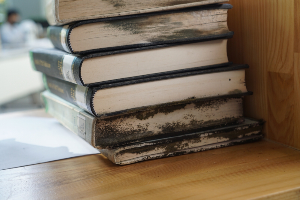 사진 설명 시작. 수해피해로 인해 곰팡이가 크게 피어있는 도서다. 사진 설명 끝.