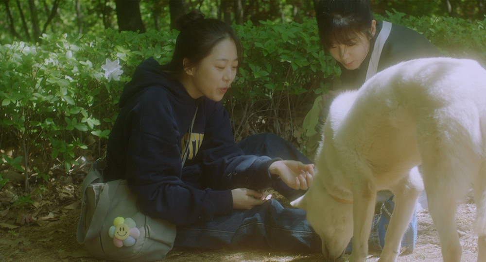사진 설명 시작. 하은과 세미가 야외에서 흰색 개를 보고 있다. 개는 땅에 놓인 무언가를 먹고 있다. 전체적으로 초록색 색감이 두드러진다. 사진 설명 끝.