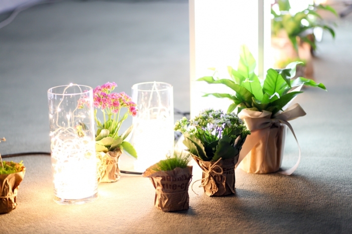 결혼식 장식에 쓰이는 생화는 단 하루 사용되고 버려진다. 이런 낭비를 막기 위해 살아있는 화분으로 장식하고 하객을 위한 답례품으로 활용했다. ⓒ이후정.jpg