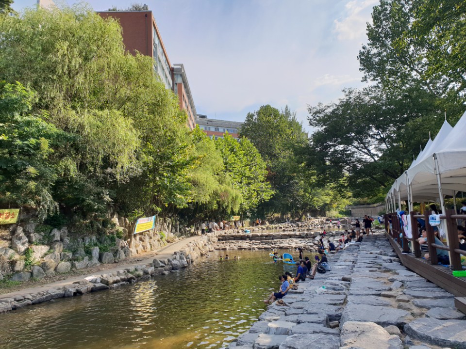 (1) 관악산 계곡 사진.jpg