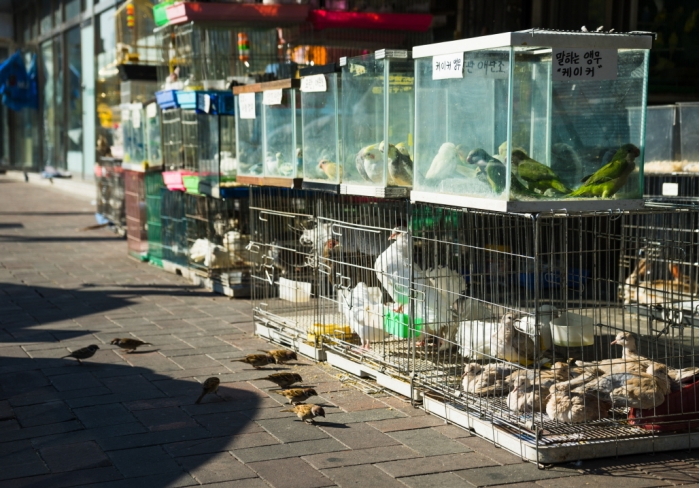 20141122-20141104-DSC00307 - 복사본.jpg