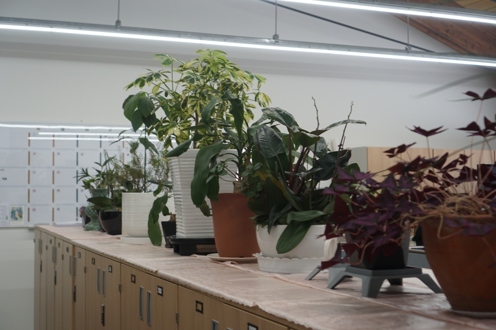 사진 설명 시작. 관악수목원 교육관리동 내부 모습이다. 선반 위에 다양한 화분이 열을 맞춰 놓여있다. 사진 설명 끝.