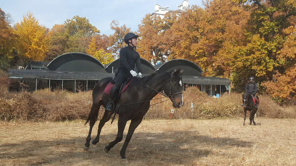 캠퍼스라이프 승마부 기사.jpg