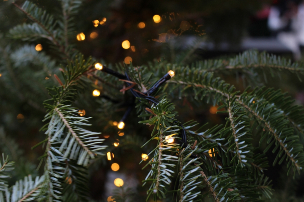 사진 설명 시작. 크리스마스트리에 노란색 LED 전구가 달려있다. 사진 설명 끝.